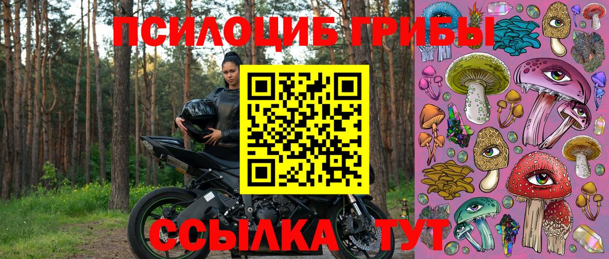 Псилоцибиновые грибы мухоморы Губкинский