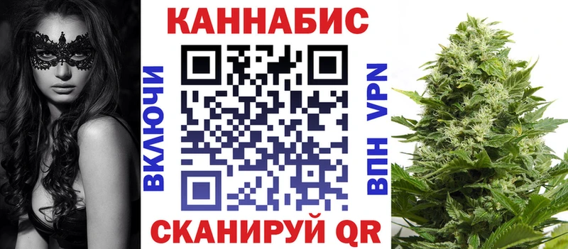Каннабис ГИДРОПОН  Губкинский 